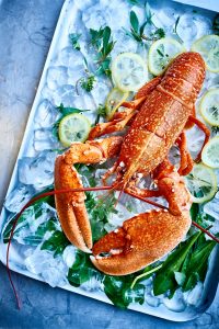 cooked lobster on ice bed